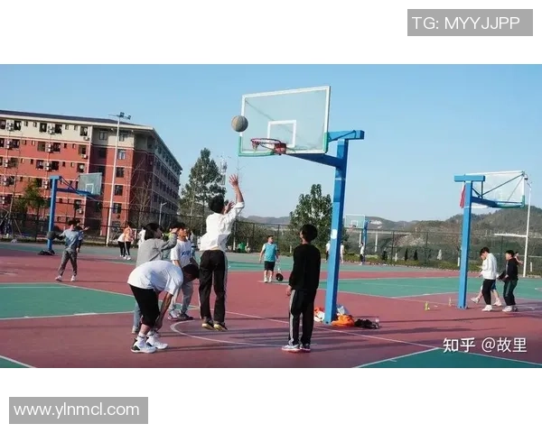 篮球魅力无穷：从街头到职业赛场的全方位探索与未来发展趋势